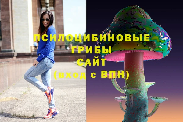 прущая мука Алзамай