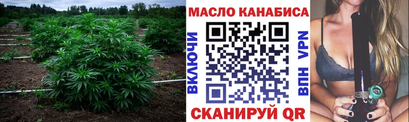 Дистиллят ТГК THC oil  где найти наркотики  Оса 